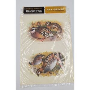 Vintage Patricia Nimocks Decoupage Or Framing Art Print Birds